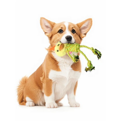 Duurzaam hondenspeelgoed met pluche hoofd